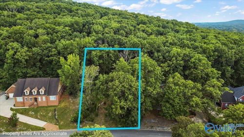 3040 Box Canyon Road Se, Huntsville, AL, 35803 | Card Image