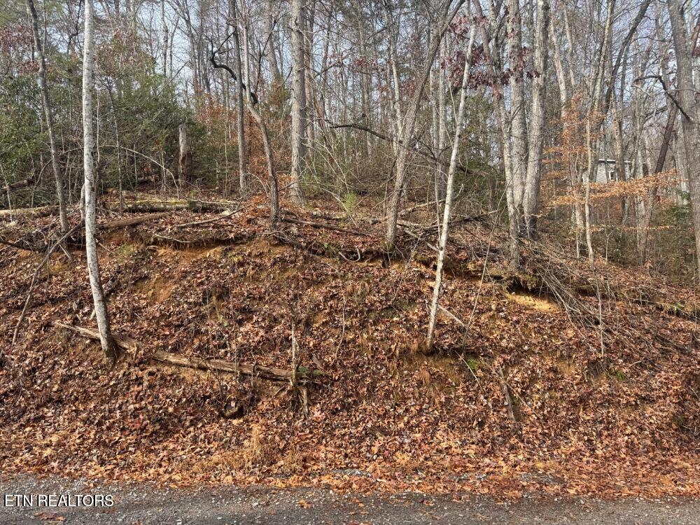 Land in Gatlinburg 4