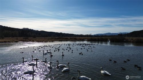 0 105.33 Lincoln Creek Rd, Rochester, WA, 98579 | Card Image