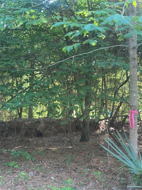 tbd Tall Pne, Livingston, TX, 77351 | Card Image