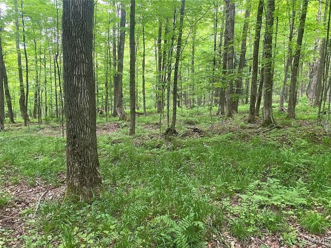 3656 Putt Brook Rd, House other with 1 bedrooms, 1 bathrooms and null parking in Scio NY | Image 32