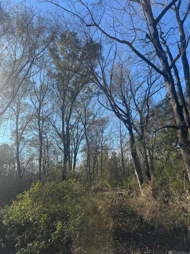 5903 Line Rd, Home with 0 bedrooms, 0 bathrooms and null parking in Ethel LA | Image 4
