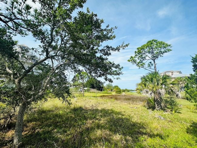 0000 Lighthouse Rd, Home with 0 bedrooms, 0 bathrooms and null parking in Cedar Key FL | Image 17