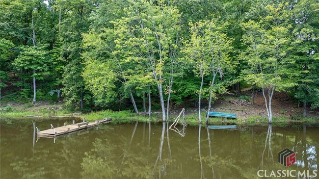 724 Bertha Willis Rd, House other with 3 bedrooms, 3 bathrooms and 4 parking in Carlton GA | Image 59