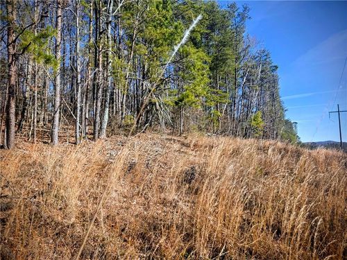 TBD Cowart Mountain Tract 3 Road, Jasper, GA, 30143 | Card Image