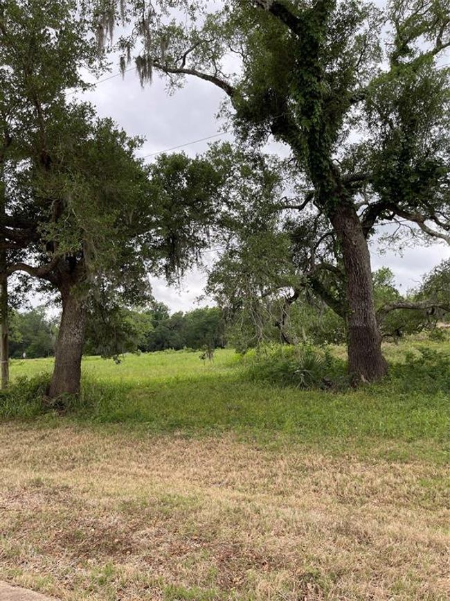 526 Pony Trl, Home with 0 bedrooms, 0 bathrooms and null parking in Angleton TX | Image 6