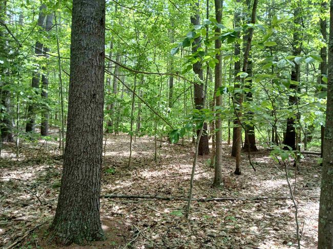 054-002-005 Middle Road, Home with 0 bedrooms, 0 bathrooms and null parking in Tuftonboro NH | Image 4