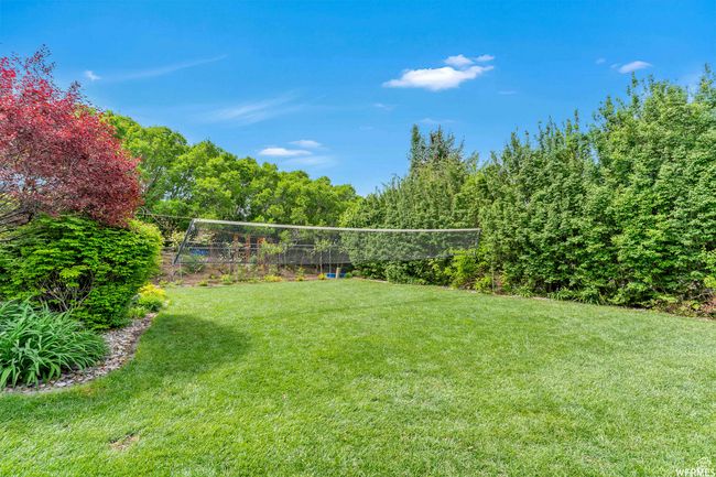 View of yard | Image 84