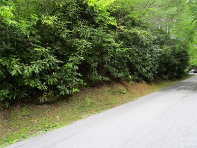 31 - TBD Indian Lake Road, Home with 0 bedrooms, 0 bathrooms and null parking in Lake Toxaway NC | Image 3