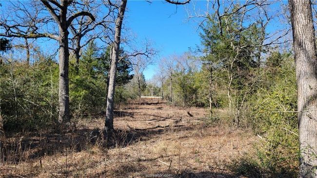 9 Old Hickory Grove Rd, House other with 5 bedrooms, 5 bathrooms and null parking in Franklin TX | Image 41