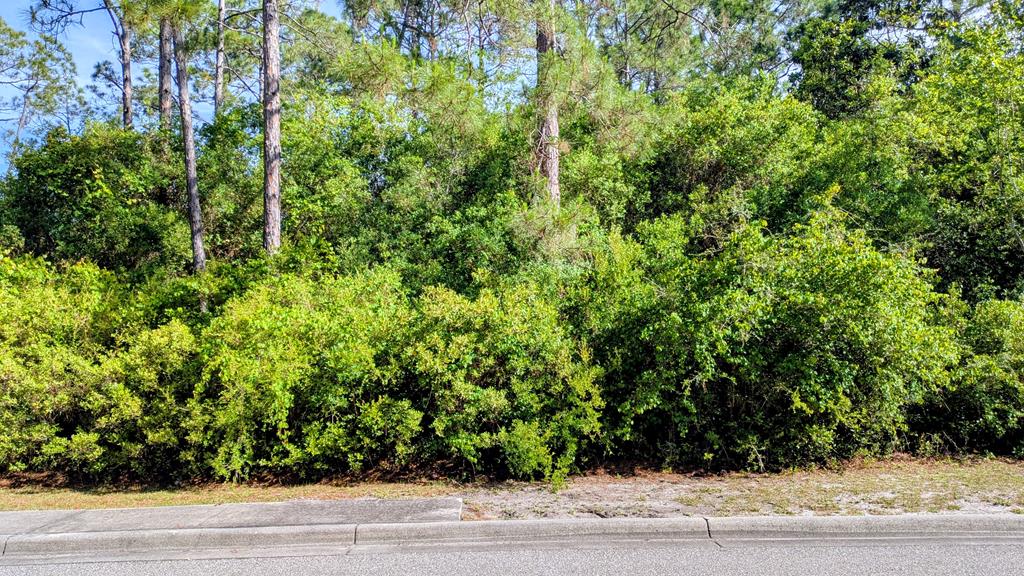 Land in Carrabelle 4