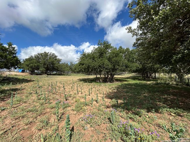 1619 Stringtown Rd, Home with 0 bedrooms, 0 bathrooms and null parking in Medina TX | Image 17