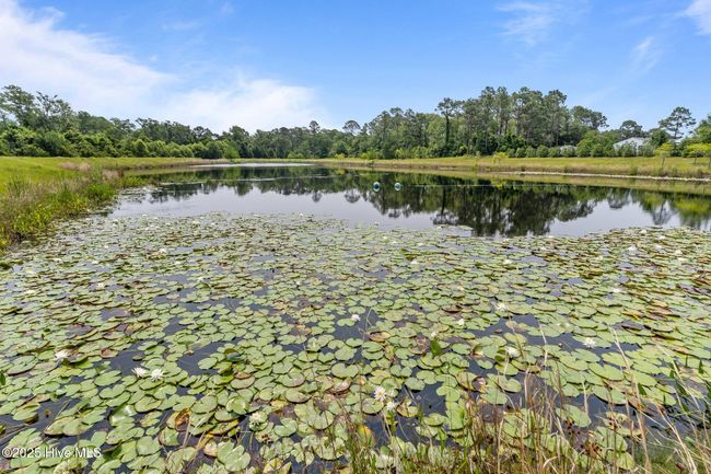 2169 Whiskey Branch Dr, House other with 3 bedrooms, 3 bathrooms and 2 parking in Wilmington NC | Image 54