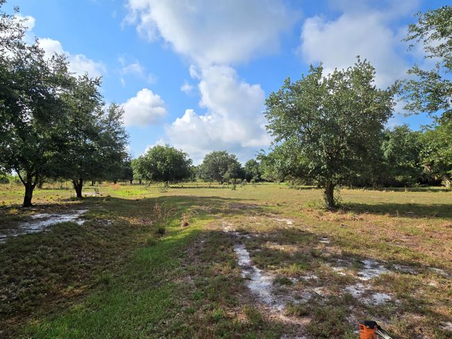 0 Cabbage Trl, Home with 0 bedrooms, 0 bathrooms and null parking in Okeechobee FL | Image 15