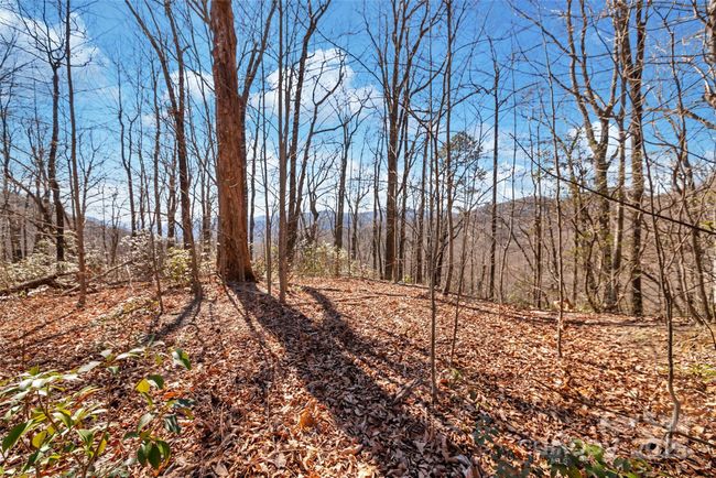 965 Wolf Pen Rd, Home with 0 bedrooms, 0 bathrooms and null parking in Old Fort NC | Image 9