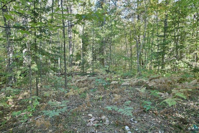 Lot 1 County Highway C, Home with 0 bedrooms, 0 bathrooms and null parking in Cornucopia WI | Image 6