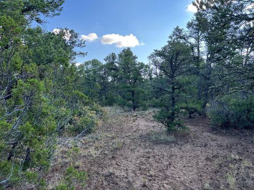 Lot R Mccomb Rd, Edgewood, NM, 87015 | Card Image
