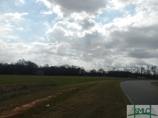 0 W White Rd, Home with 0 bedrooms, 0 bathrooms and null parking in Byron GA | Image 7