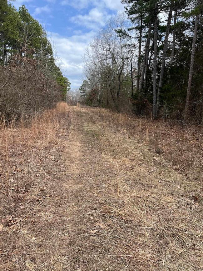 00 Yates Ln, Home with 0 bedrooms, 0 bathrooms and null parking in Tumbling Shoals AR | Image 14