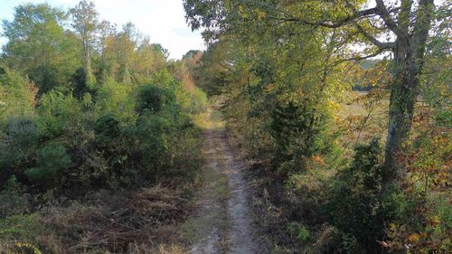 23528 Fm 838, Overton, TX, 75684 | Card Image