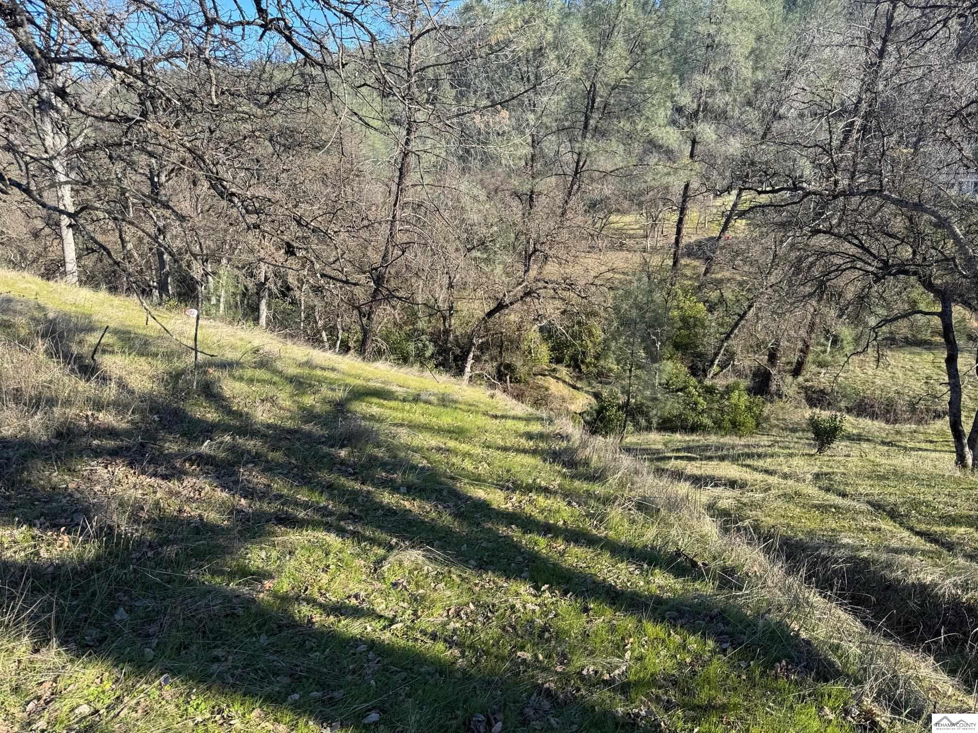 Land in Corning 4