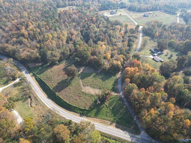 4 Highway 99, Home with 0 bedrooms, 0 bathrooms and null parking in Anderson AL | Image 6
