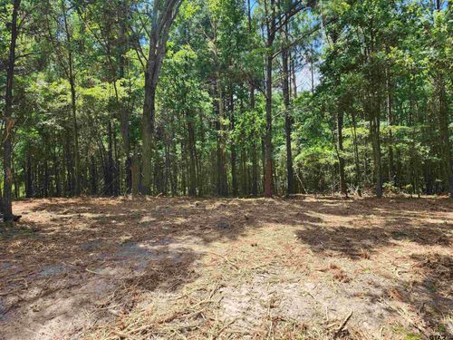 TBD Cr 4114 22.22 Acres, Hughes Springs, TX, 75656 | Card Image