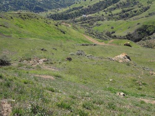 20006 Panoche Rd, Paicines, CA, 95043 | Card Image