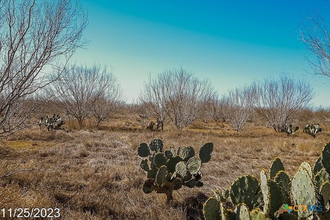 4 Us Hwy 85 Street, Home with 0 bedrooms, 0 bathrooms and null parking in Dilley TX | Image 9