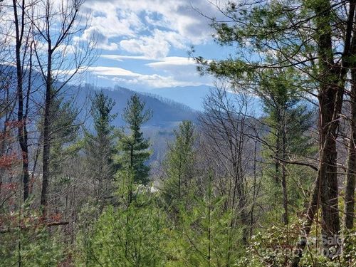 20-00 Elkins Rd, Bakersville, NC, 28705 | Card Image