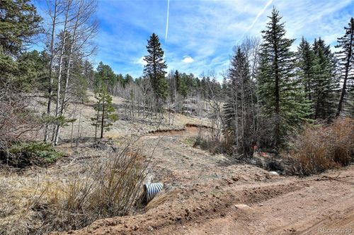 926 W Bison Creek Trl, Divide, CO, 80814-9235 | Card Image