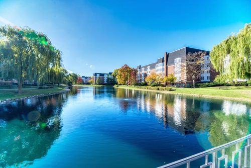 apt-603-100 Lake Blvd, Buffalo Grove, IL, 60089-4381 | Card Image