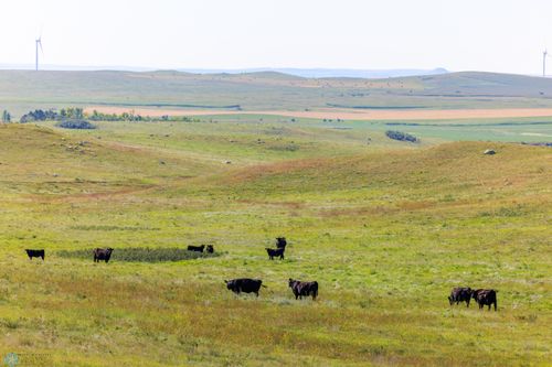 4 N2se4 Of 7-141-85, New Salem, ND, 58563 | Card Image