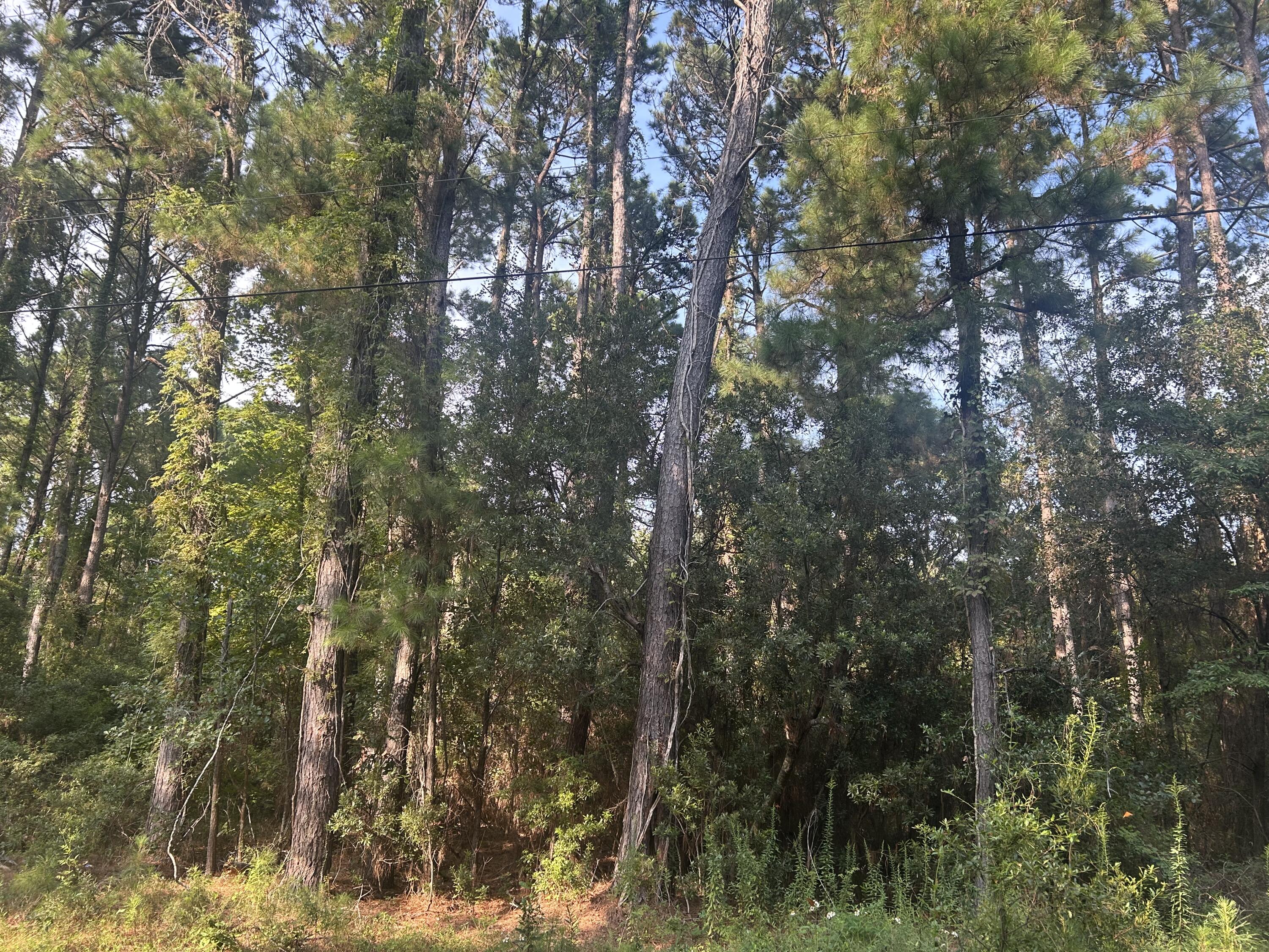 Land in Saint Helena Island 2