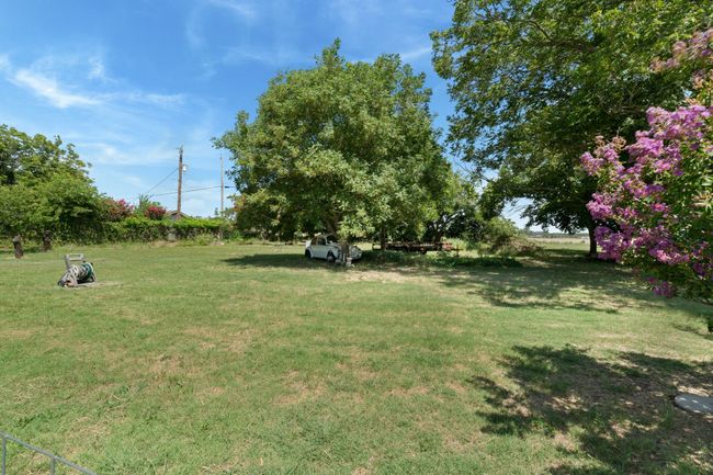 View of grassy yard | Image 34