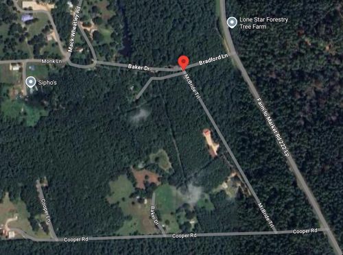 150 Mcbride Trl, Coldspring, TX, 77331 | Card Image