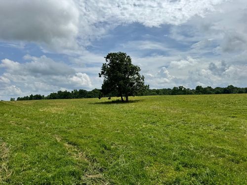 0 Old Bean Shed Rd 34 Acres, Clarkrange, TN, 38553 | Card Image