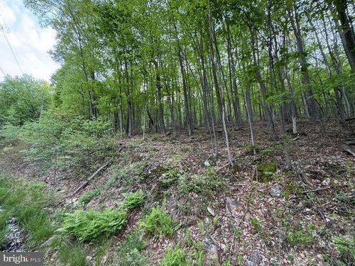 0 Cherry Run Rd, Bedford, PA, 15522 | Card Image