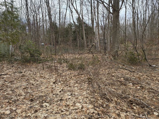 422 Young Ave, Home with 0 bedrooms, 0 bathrooms and null parking in Port McNicoll ON | Image 4
