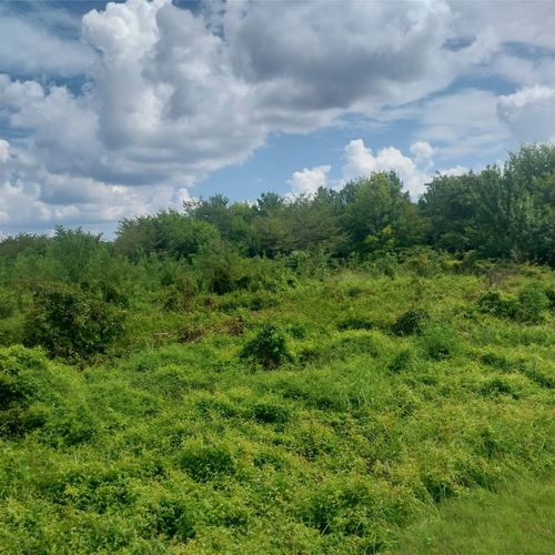 1085 Deen Point Rd, Benton, LA, 71006-3406 | Card Image