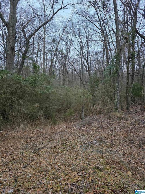 none-322 Tucker Road, Talladega, AL, 35160 | Card Image