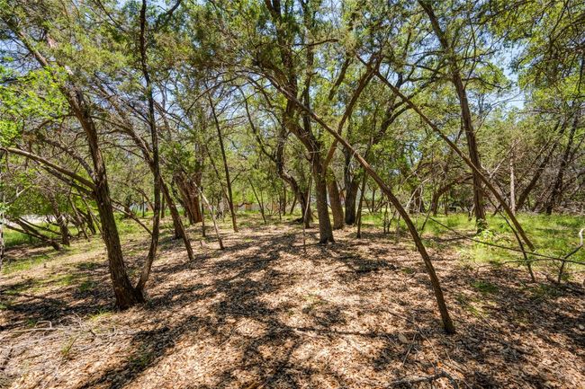 View of nature | Image 15