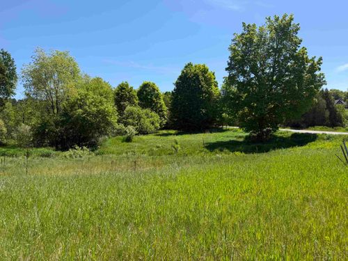 1 Shanty Creek Rd, Bellaire, MI, 49615-9638 | Card Image