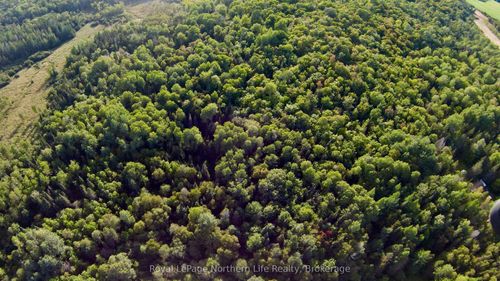 799 Maple Hill Rd, Powassan, ON, P0H1Z0 | Card Image