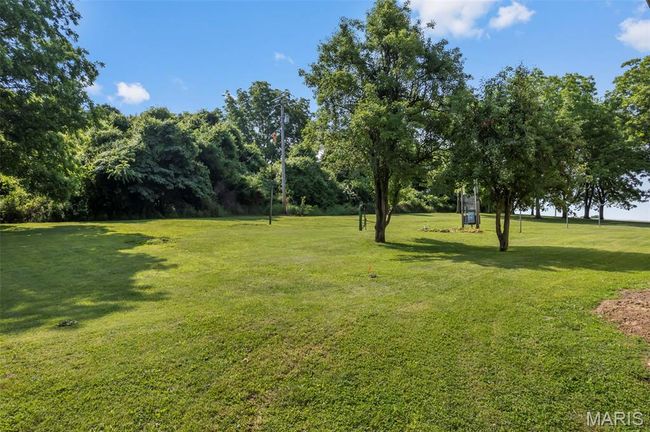 View of green lawn | Image 20