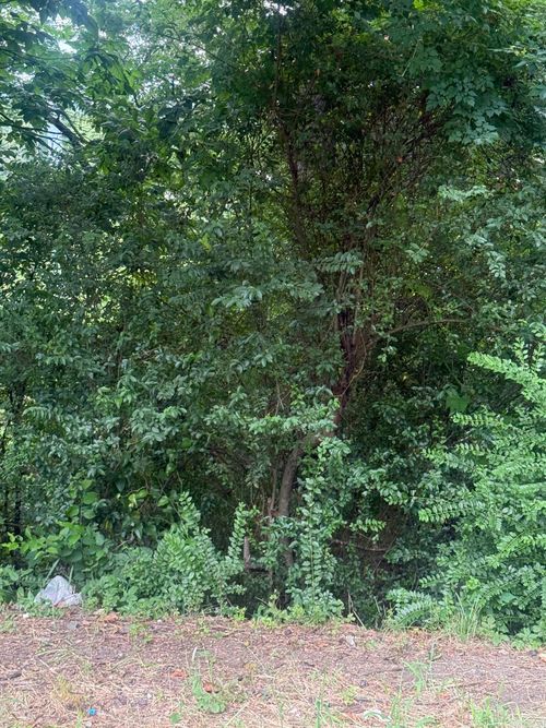 Lot 6 and 7 Amber Lane, North Little Rock, AR, 72118 | Card Image