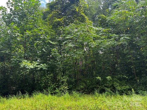 LT 24 Llewellin Ln, Whittier, NC, 28789 | Card Image