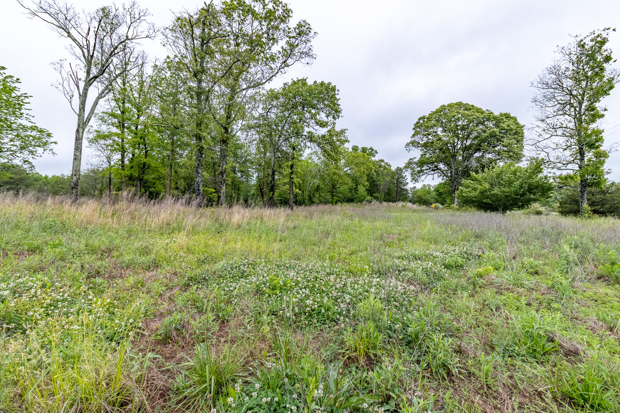 Land in Trenton 4