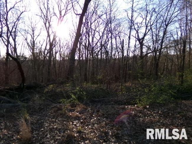 2225 Route 34, House other with 4 bedrooms, 2 bathrooms and null parking in Rosiclare IL | Image 37