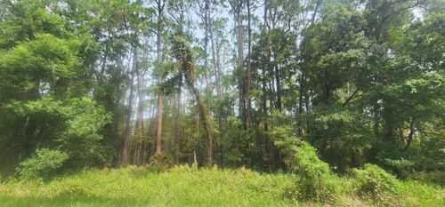 422 Dogwood Ave, Georgetown, FL, 32139 | Card Image